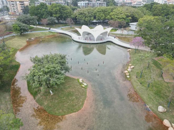 再造从活水、守护大树开始深圳新安公园不负期待再“上线”(图8)