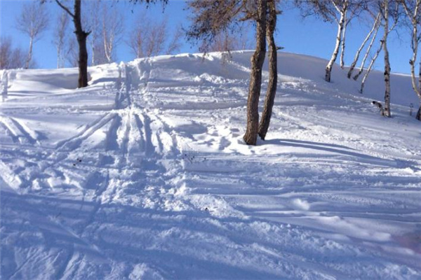 雪狐室内滑雪加盟费(图1)