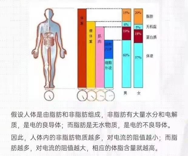 经营健身、瑜伽机构的你记住这7点！选择维塑神器不活也难！(图2)