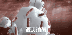 湿疹体质有救了!这款没有激素的湿疹膏安全高效断痒无激素不刺激一抹见效告别反复！(图13)