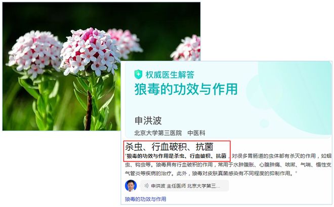 湿疹体质有救了!这款没有激素的湿疹膏安全高效断痒无激素不刺激一抹见效告别反复！(图14)