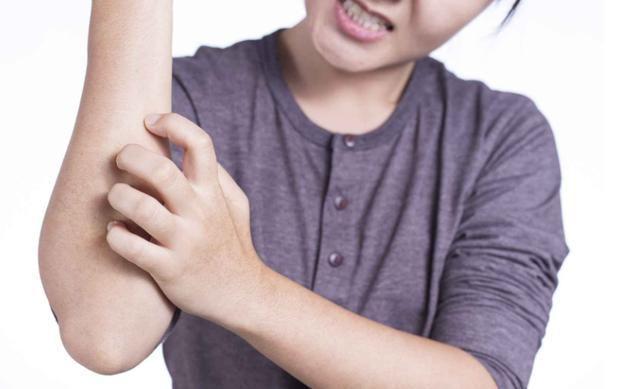 现在才知道西洋参不能随便吃提示：为了健康请牢记6个禁忌(图7)