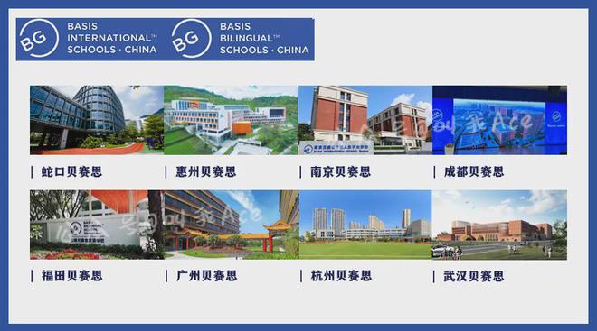 当MBTI遇上国际学校最受深国交贝赛思等欢迎的人格居然是…(图6)