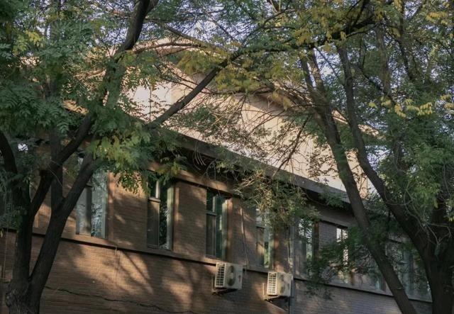 35岁大学生唐尚珺体测：1000米3分48引体向上14个总分80分(图9)