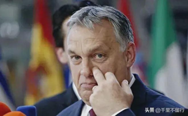 访问俄罗斯被朔尔茨痛骂后欧尔班直接拒绝了德国外长访匈计划！(图1)