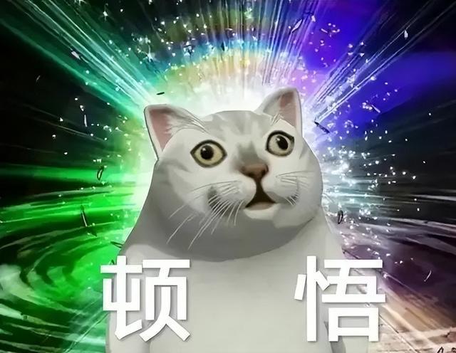 “精准掌握身体密码：最科学的体测方法与身体成分解析”(图1)