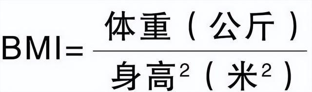 “精准掌握身体密码：最科学的体测方法与身体成分解析”(图4)