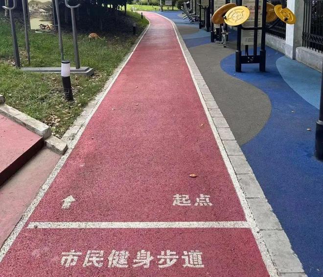 家门口的好去处再“上新”！2024年闵行建设了68个……(图11)